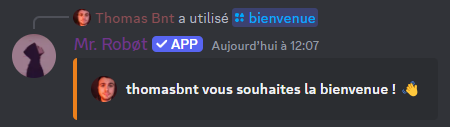Résultat de la commande /bienvenue